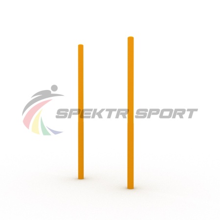 Купить Столбы вертикальные для выполнения упражнений Воркаут SP WRK-18_76mm в Змеиногорске 